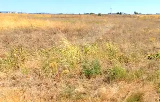 Парцел в Бургас, с. Тънково