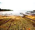 Снимка 2 — Парцел в Бургас, с. Варвара
