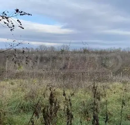Photo 2 — Plot in Oblast Burgas, Velika
