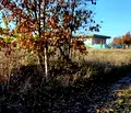 Снимка 3 — Парцел в Бургас, с. Велика