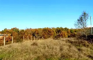 Парцел в Бургас, с. Велика