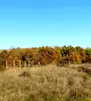 Парцел в Бургас, с. Велика