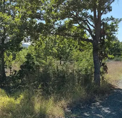 Photo 4 — Plot in Oblast Burgas, Velika