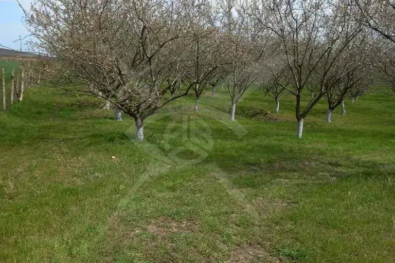 Plot in Oblast Burgas, Zimen