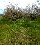 Парцел в Бургас, с. Зимен