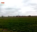 Снимка 4 — Парцел в Добрич, Балчик