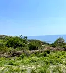 Парцел в Добрич, Балчик