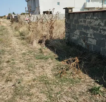Снимка 2 — Парцел в Добрич, Балчик