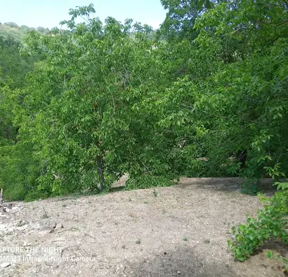 Снимка 5 — Парцел в Добрич, Балчик