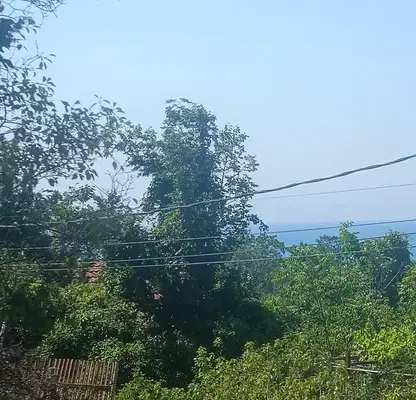 Photo 2 — Plot in Oblast Dobrich, Balchik