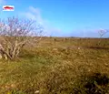 Снимка 2 — Парцел в Добрич, Балчик