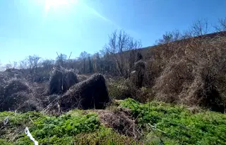 Парцел в Добрич, Балчик