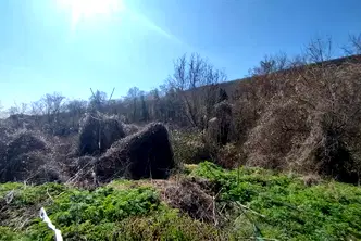 Парцел в Добрич, Балчик