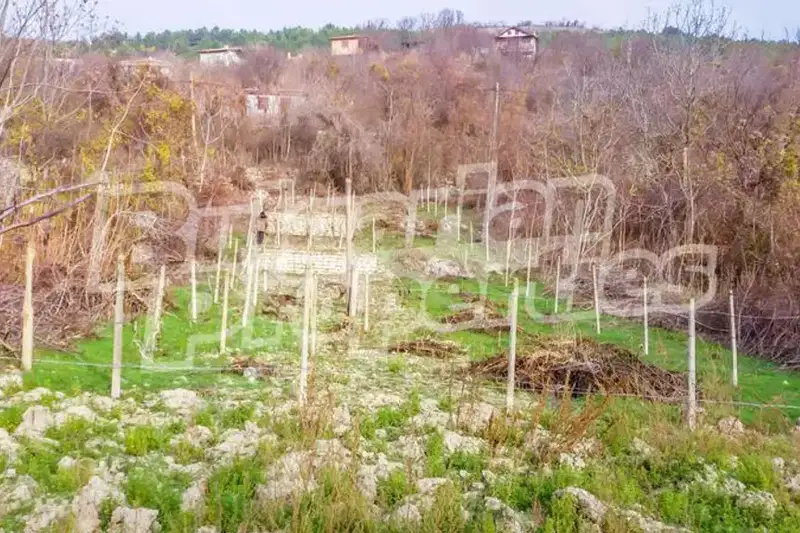 Парцел в Добрич, Балчик