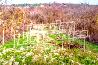Парцел в Добрич, Балчик
