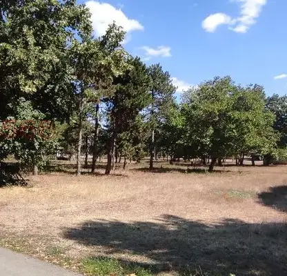 Photo 2 — Plot in Oblast Dobrich, General Toshevo