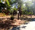 Снимка 3 — Парцел в Добрич, Генерал Тошево