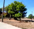 Снимка 4 — Парцел в Добрич, Генерал Тошево