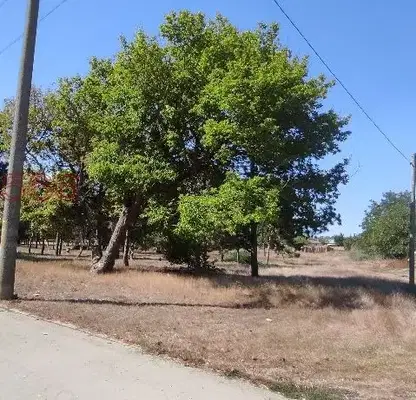 Photo 4 — Plot in Oblast Dobrich, General Toshevo