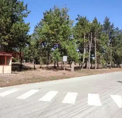Photo 5 — Plot in Oblast Dobrich, General Toshevo