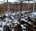 Снимка 2 — Парцел в Добрич, Генерал Тошево