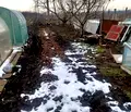 Снимка 5 — Парцел в Добрич, Генерал Тошево
