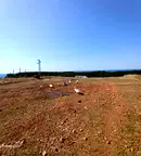 Парцел в Добрич, Каварна