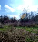 Парцел в Добрич, Каварна