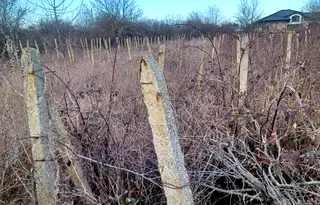 Парцел в Добрич, Каварна