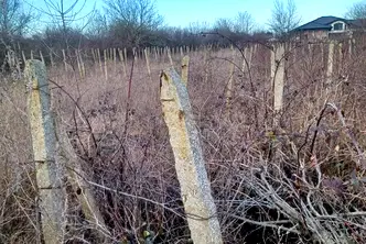 Парцел в Добрич, Каварна
