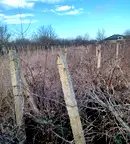 Парцел в Добрич, Каварна