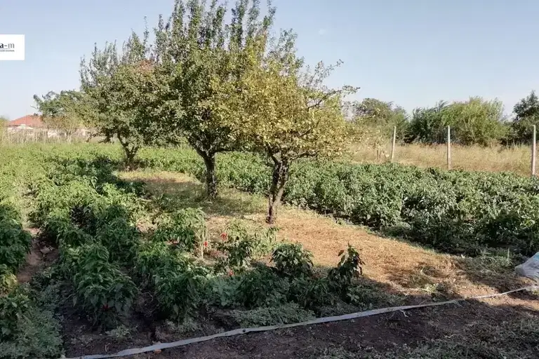 Парцел в Добрич, Шабла