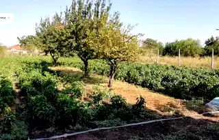 Парцел в Добрич, Шабла