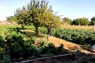 Парцел в Добрич, Шабла
