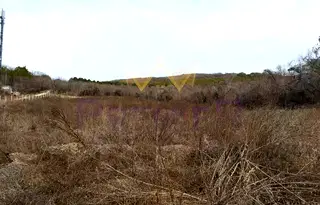 Парцел в Добрич, к.к. Албена