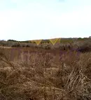 Парцел в Добрич, к.к. Албена
