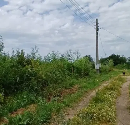 Снимка 3 — Парцел в Добрич, с. Безводица
