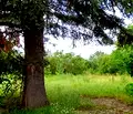Снимка 5 — Парцел в Добрич, с. Безводица