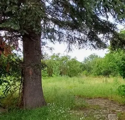 Снимка 5 — Парцел в Добрич, с. Безводица