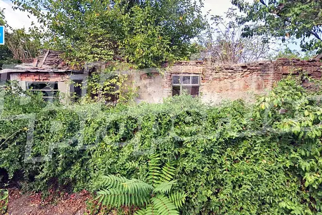 Plot in Oblast Dobrich, Bilo