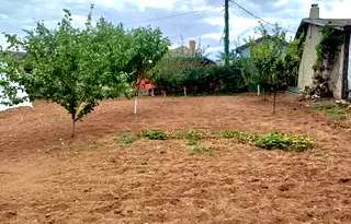 Парцел в Добрич, с. Богдан