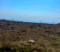 Снимка 2 — Парцел в Добрич, с. Божурец