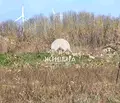 Снимка 5 — Парцел в Добрич, с. Божурец