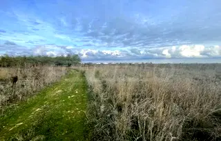 Парцел в Добрич, с. Божурец