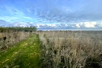 Парцел в Добрич, с. Божурец