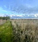 Парцел в Добрич, с. Божурец