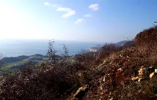 Парцел в Добрич, с. Божурец