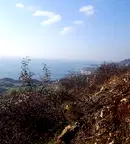 Парцел в Добрич, с. Божурец