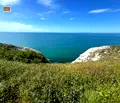 Снимка 3 — Парцел в Добрич, с. Българево