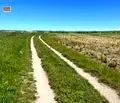 Снимка 5 — Парцел в Добрич, с. Българево